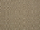 Action Taupe