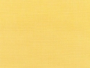 Canvas Buttercup