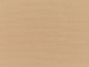 Canvas Camel