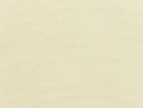 Canvas Canvas