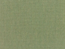 Canvas Fern