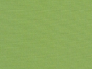 Canvas Ginkgo