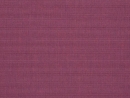 Canvas Iris