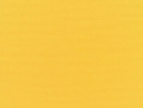 Canvas Sunflower Yellow