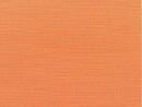 Canvas Tangerine
