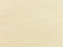 Canvas Vellum