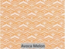 Avoca Melon
