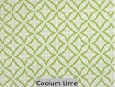 Coolum Lime