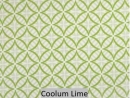 Coolum Lime