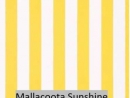 Mallacoota Sunshine