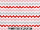 Merimbula Lobster