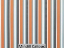Mindill Calippo