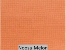 Noosa Melon