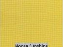 Noosa Sunshine