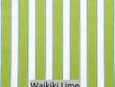 Waikiki Lime