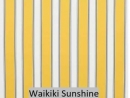 Waikiki Sunshine