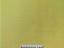 Ambience Leaf