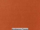 Ambience Tango