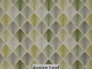 Aspire Leaf