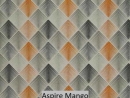 Aspire Mango