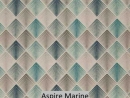 Aspire Marine