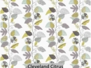 Cleveland Citrus