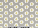 Daisy Pop Chartreuse