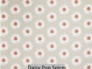 Daisy Pop Spice