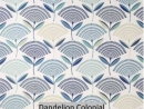 Dandelion Colonial