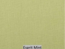 Esprit Mint