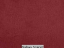 Galaxy Scarlet