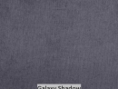 Galaxy Shadow