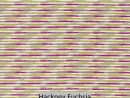 Hackney Fuchsia