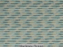 Hackney Ocean