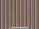 Hackwell Fuchsia