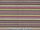 Hammersmith Fuchsia