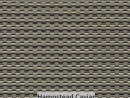 Hampstead Caviar