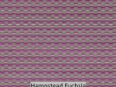 Hampstead Fuchsia