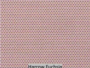 Harrow Fuchsia