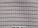 Harrow Ocean