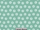 Lanai Aqua