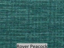 Rover Peacock