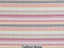 Tallinn Rose