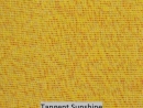 Tangent Sunshine